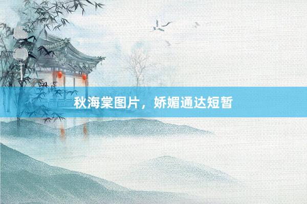 秋海棠图片，娇媚通达短暂